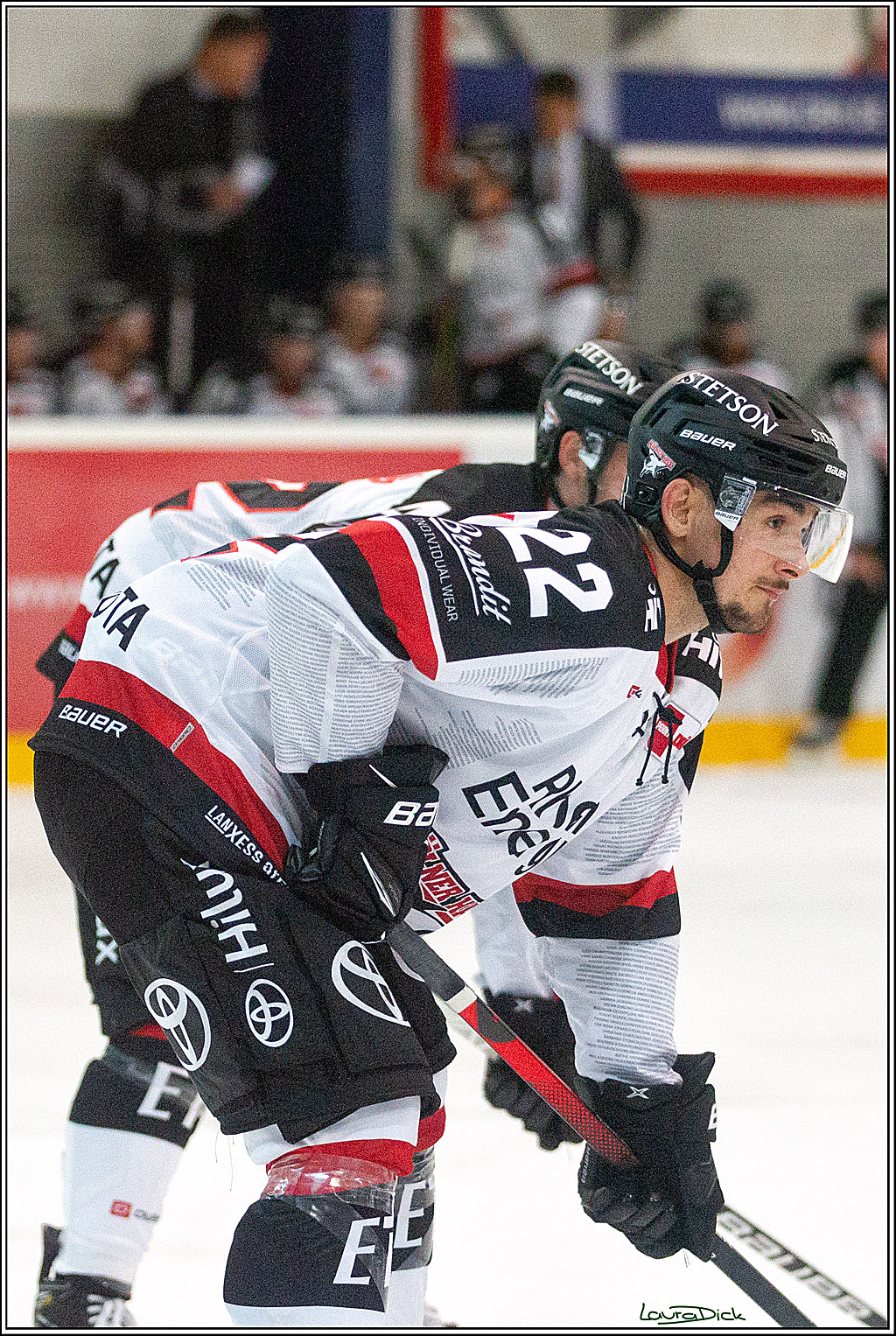 PENNY DEL;  Koelner Haie - Aalborg Pirates; Koeln, 21.08.2021